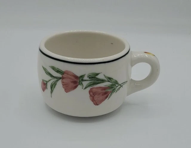 Southern Pacific Lines Prairie Mountain Wildflowers Railroad Mug Cup VHTF