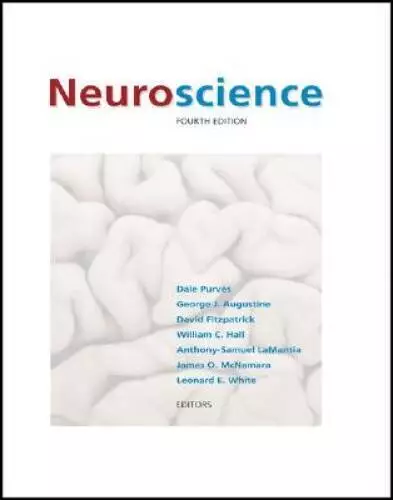 Neuroscience, Fourth Edition - Hardcover By Dale Purves - GOOD