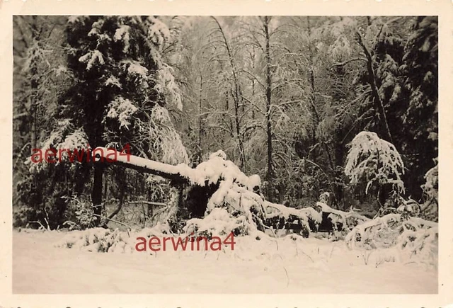 VERSCHNEITE FELDHAUBITZE 18 Bei Brjansk Russland Ostfront EUR 9 38 verschneite-feldhaubitze-18-bei-brjansk-russland-ostfront-eur-9-38