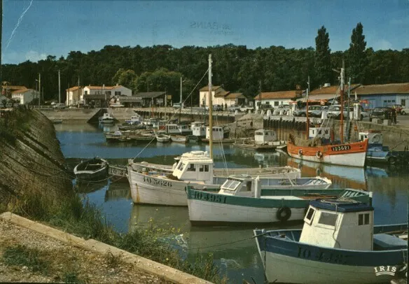 CPA couleur Charente-Maritime île d'Oléron  ( 17 )