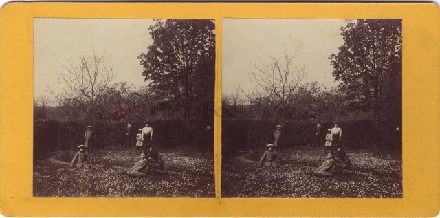 Vintage Stereo Citrate Flower Garden Family Photo ca 1900