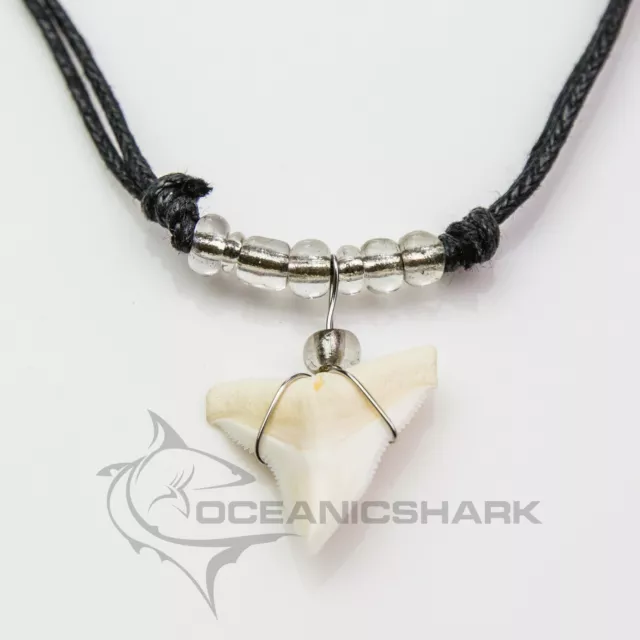 Bull shark tooth apex predator iridescent glass beaded c61