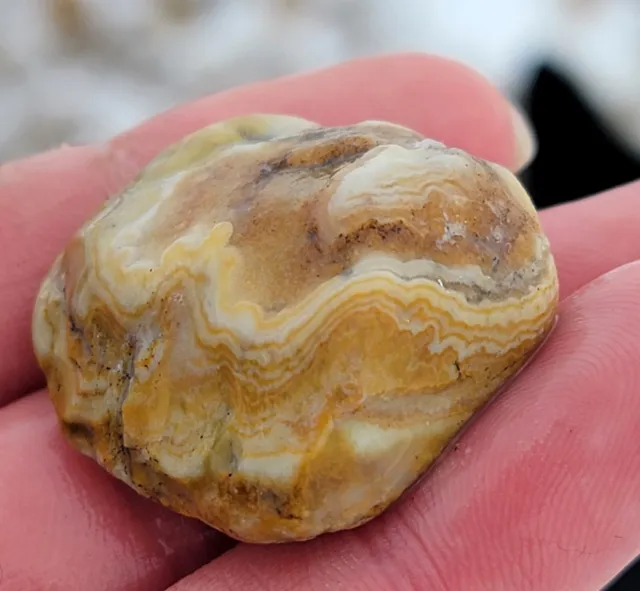 Nebraska  Prarie Agate Mineral Rock/Stone - Yellow/Gold & White