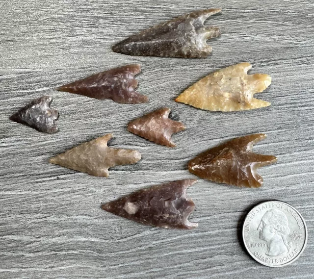 Neolithic Sahara Desert Africa Artifacts Arrowheads Lot X8 Gem Grade