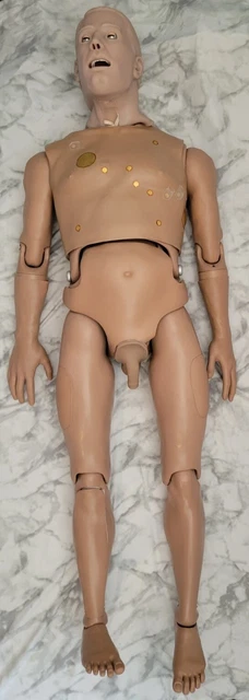 Gaumard Hal Wireless Simulator Patient Training Manikin Mannequin Real Sinman