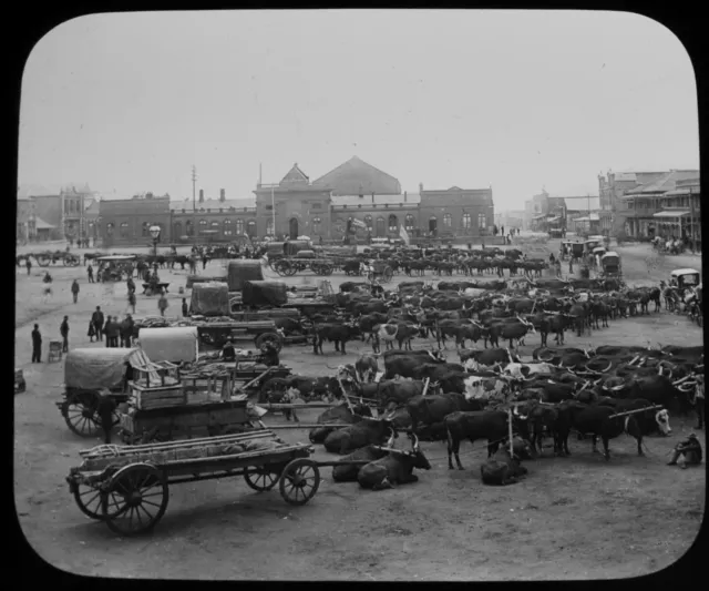 Magic Lantern Dia MARKTPLATZ JOHANNESBURG C1896 FOTO SÜDAFRIKA