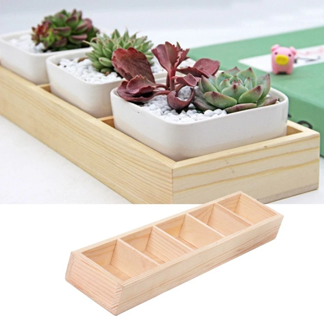 Plateau boîte pot en bois autonome pour plantes succulentes 5 grilles herbe fle