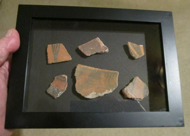 Beautifully Framed Native American Anasazi Era Pottery Shards w COA