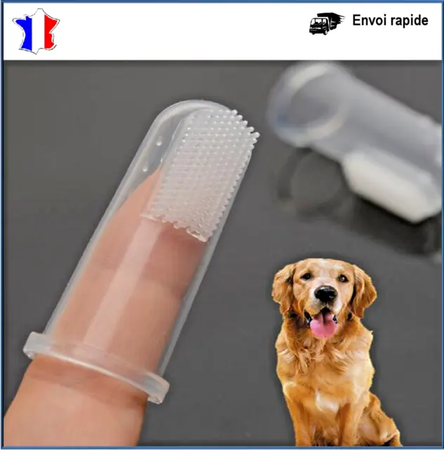 Brosse à dents pour Chien Chat Chiot Hygiène Dentaire Toilettage