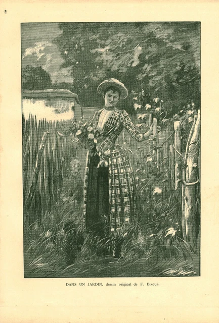 Gravure ancienne 1889 - Fleur Bouillon blanc par Lefevre. Planche