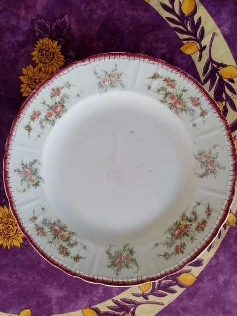 Plat de Service Rond Plat ancien Terre de Fer Saint Amand Hamage Modèle Floréal