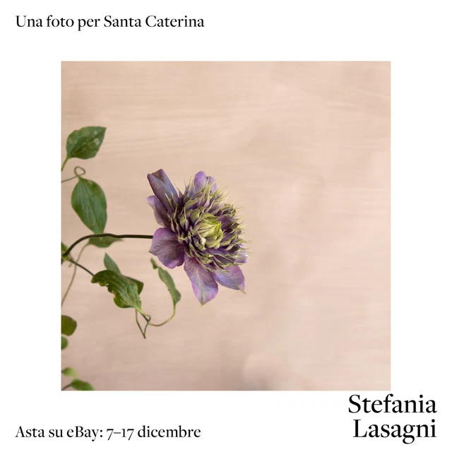 Clematis #02, S.LASAGNI per S.Caterina