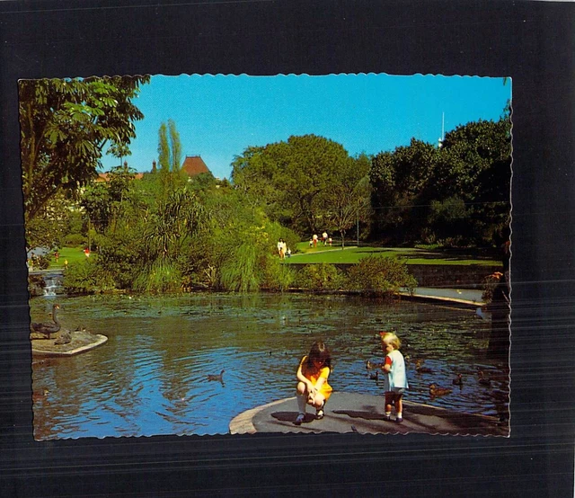 D0659 Australia Q Brisbane Botanic Gardens Wild Bird Pond MV postcard
