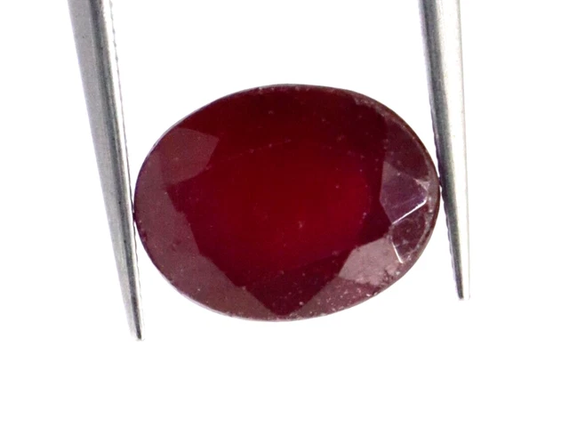LONAGO Collana Con Ciondolo Gufo In Argento 925 E Ametista - 20x12 Mm