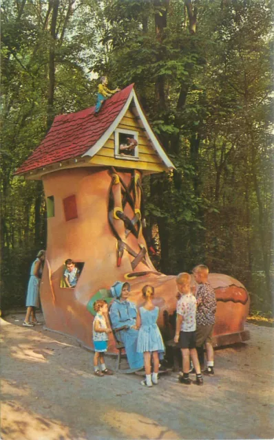 Ligonier Pennsylvania Story Book Forest Old Lady in Shoe Chrome  Postcard