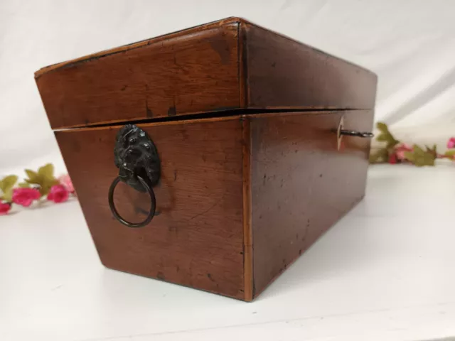 Antique Tea Caddy Oak Regency Style Sarcophagus Shaped Vintage Tea Casket