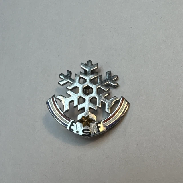 Broche Insigne Flocon ESF École Ski Français 2 Étoiles Fournier