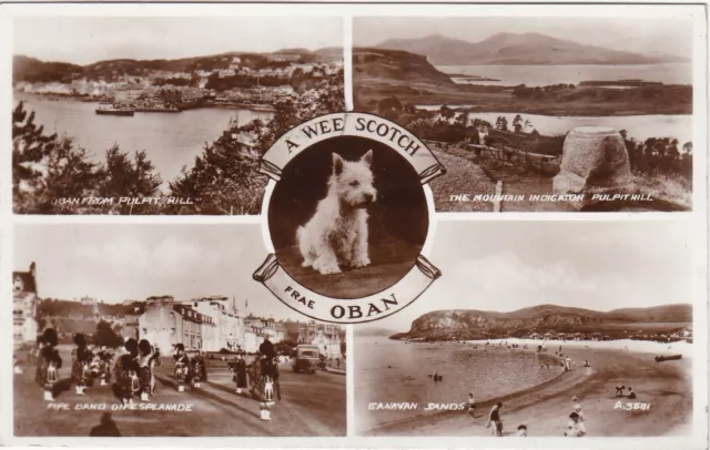 Scotty Dog Multiview, OBAN, Argyllshire RP