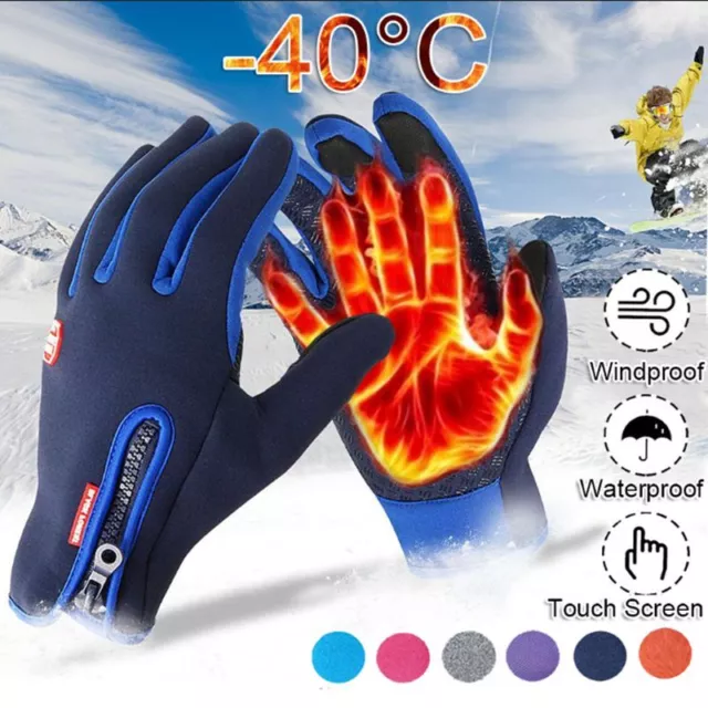 WINTER LEDER MOTORRAD/ROLLER Handschuhe CRANE SPORTS TechTex mit Thinsulate  3 M EUR 22,00 - PicClick DE