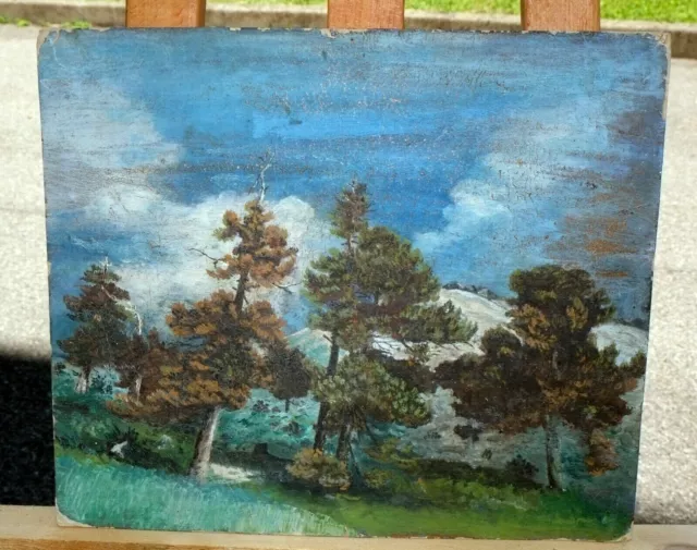 Quadro a olio su cartone pregevole fattura con paesaggio alberato primi '900