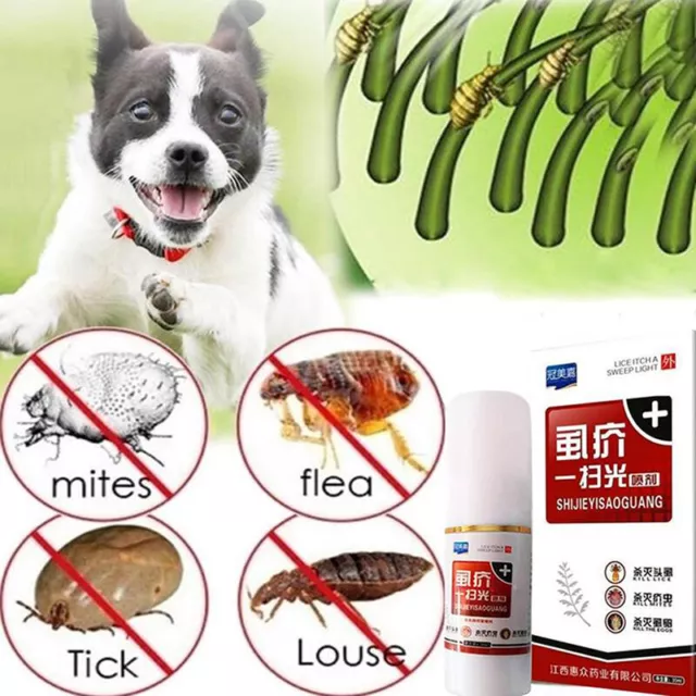 Pet Cats Dogs Flea Killer Spray 30ml Puppy Tick Mite Mange Treatment LiquDB