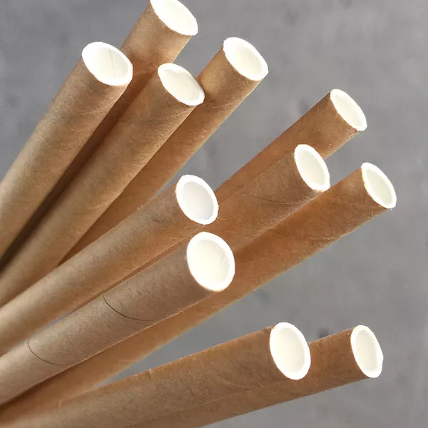 50 × kraft Paper Regular Drinking Straws 20cm Long  Eco Friendly  Biodegradable