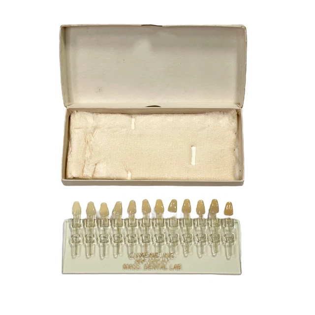 Vintage Luxene Dental Tooth Shade Guide - Oddity