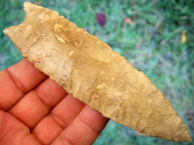 Large Super Fine 5 5/16 inch G10 Missouri Dalton Point with COA Arrowheads