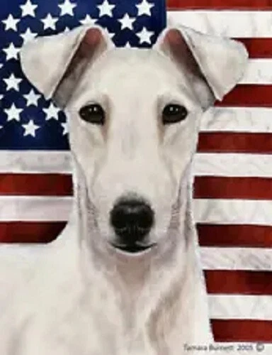 Patriotic (D2) Garden Flag - White Smooth Fox Terrier 324271