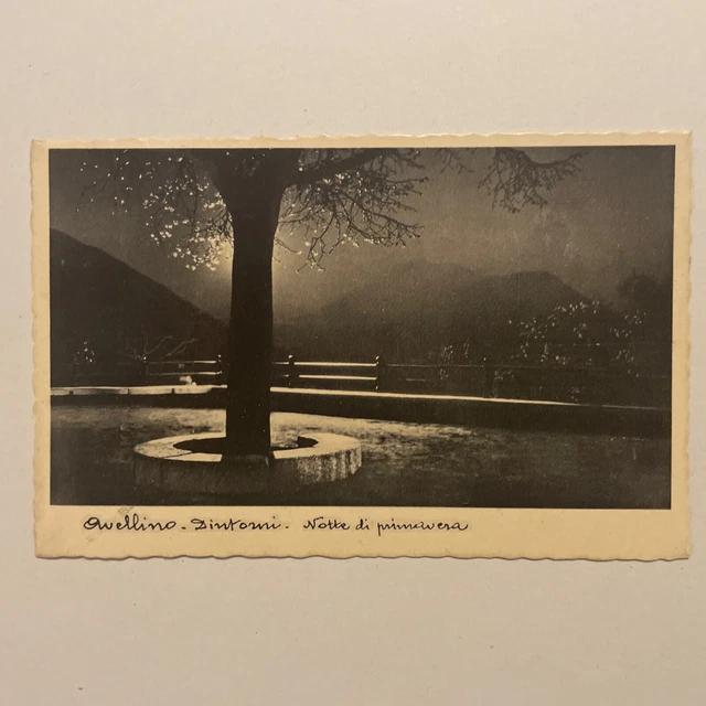 Cartolina Avellino Dintorni Notte di Primavera 1935