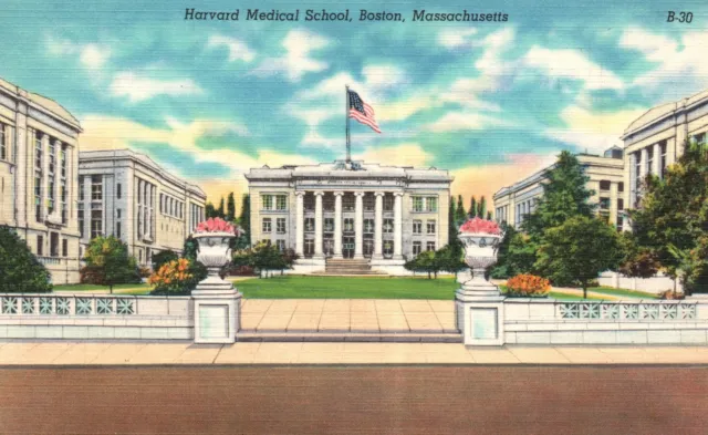 Vintage Postcard Harvard Medical School Campus Building Boston Massachusetts MA