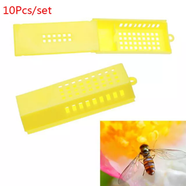 10Pcs Professional Queen Bee Cage Catcher Plastic Beekeeping Travelling But-xd