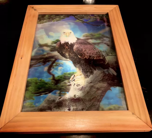 Bald Eagle / Parrot Holographic Wall Art Framed 3D Lenticular Picture 12”x 15.5”