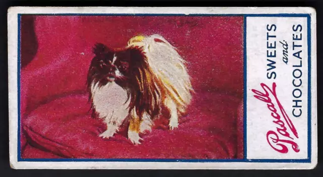 Pascall - Dogs - #9 Pekinese Spaniel