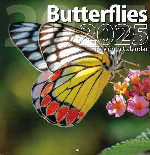 2025 Floral Fields Weekly Planner (16 Months, Sept 2024 To Dec 2025