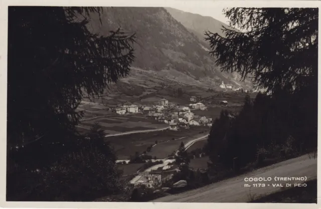 c.ill.   fotografica COGOLO IN VAL DI PEJO  del 1934 per TRENTO (A173)