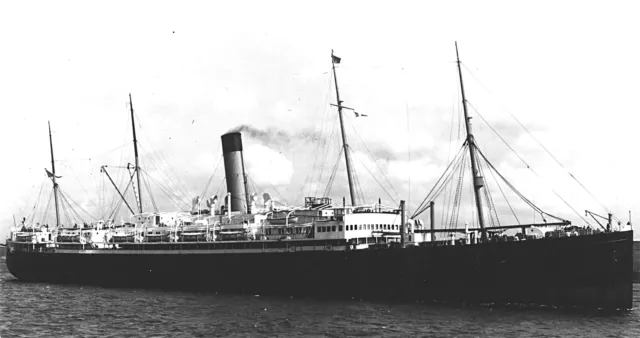 Yorkshire Ship of the Bibby Line Shipping Co OLD PHOTO