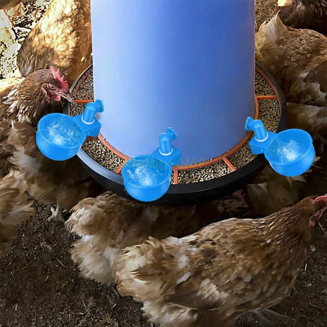 2 Pack Automatic Water Cups Poultry Drinker Waterer Chicken Duck Quail Drinking