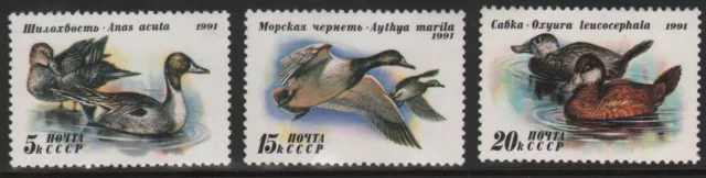 1991. SELLOS DE LA URSS. AVES. PATOS. nuevo mint