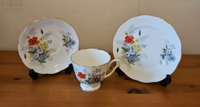 Queen Anne "Summertime" Cup, Saucer And Plate Set. (D)