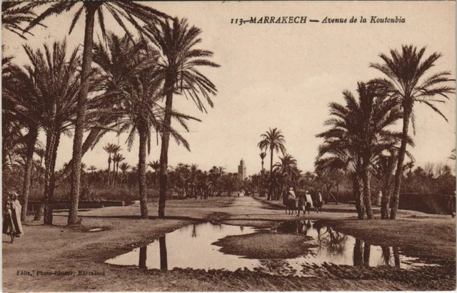 CPA AK MARRAKECH Avenue de la Koutoubia MAROC (23717)