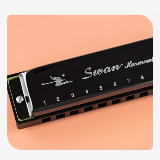 SWAN Harmonica 10 trous BLUES clé de C orgue bouche compact et léger 3