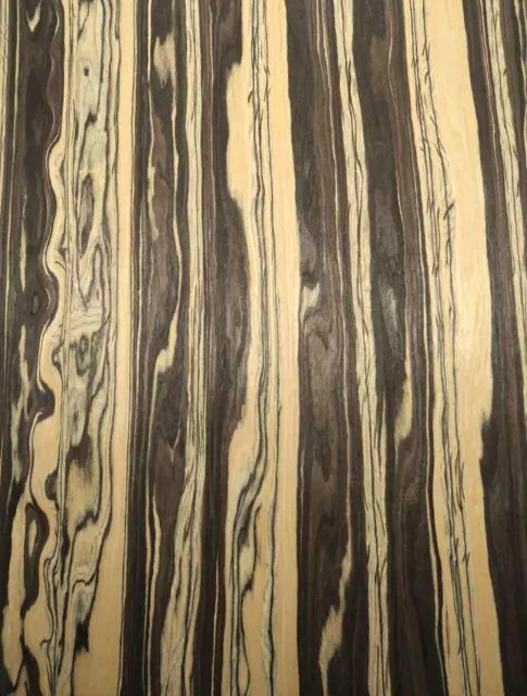 Roi Ebony Placage Saraifo Royal Blanc Bois D'Ébène Wild 250x63-64cm