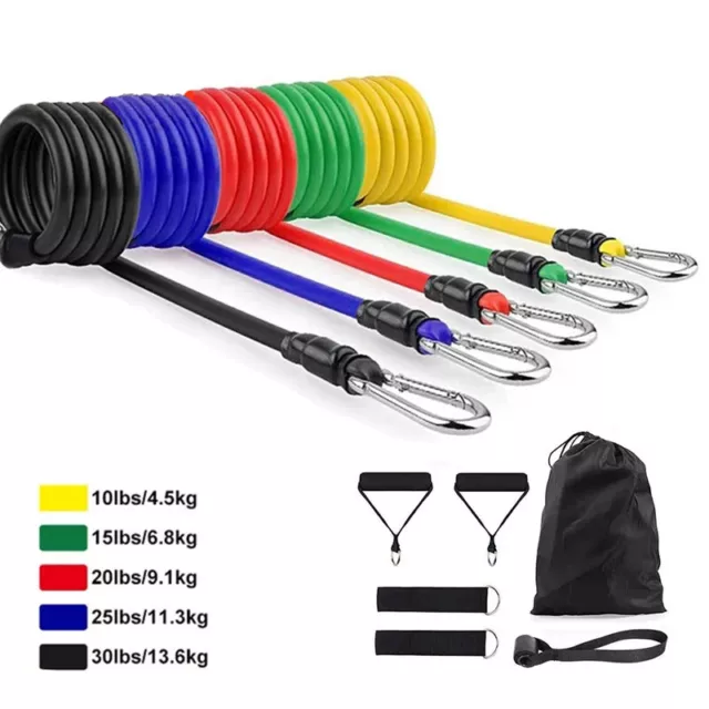 Juego Correas Tubo 11 Piezas Expansor Ejercicio Cuerda Gimnasio Yoga Fitness