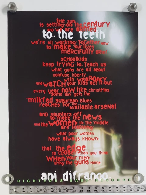 Ani DiFranco To The Teeth Rare 18x24 Collectible 1999 Record Label Promo Poster
