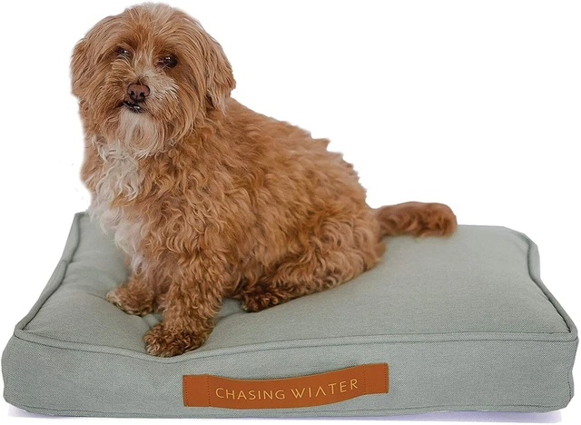 Chasing Winter Memory Foam Platform Dog Bed (Small, Sage)