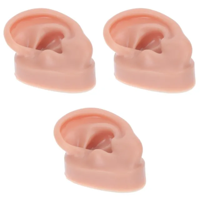 3 piezas Piercing de silicona modelo de oído humano gel de sílice para estudiantes