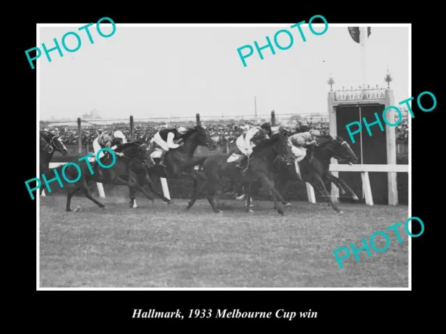 Old Large Horse Racing Photo Of Hallmark Winning The 1933 Melbourne Cup