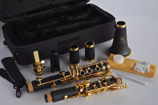 STERLING Bb Gold-Trimmed CLARINET • NEW • Perfect for school • FREE EXPRESS POST 3