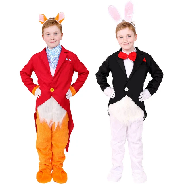 sachin and babi light blue dress CHILDS FAIRYTALE FOX Or Rabbit Animal Book Character Day Fancy Dress Costume  £10.99